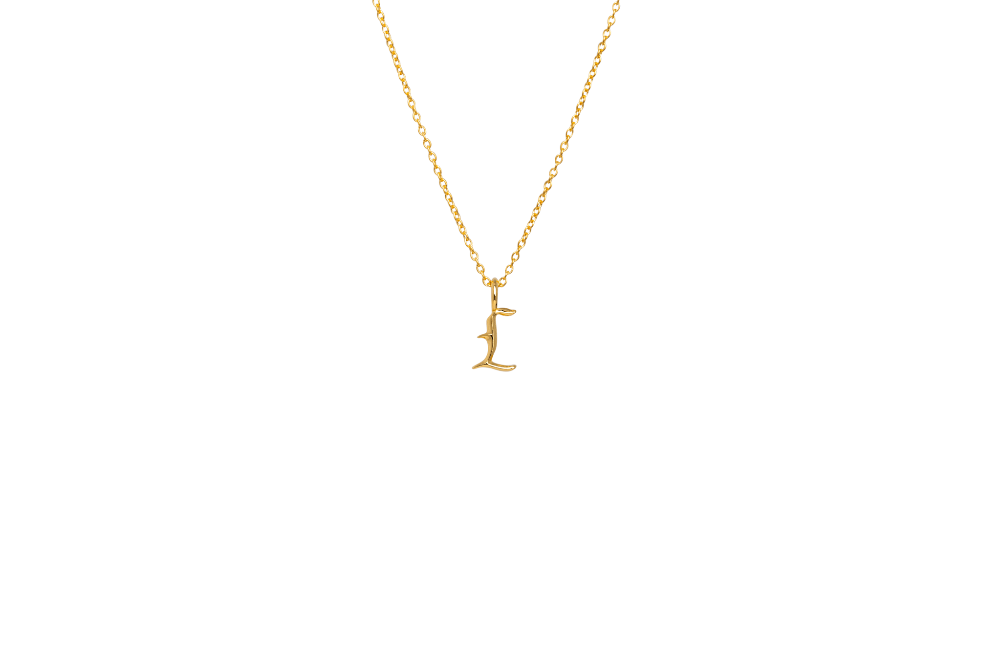 IX Letter Charm
