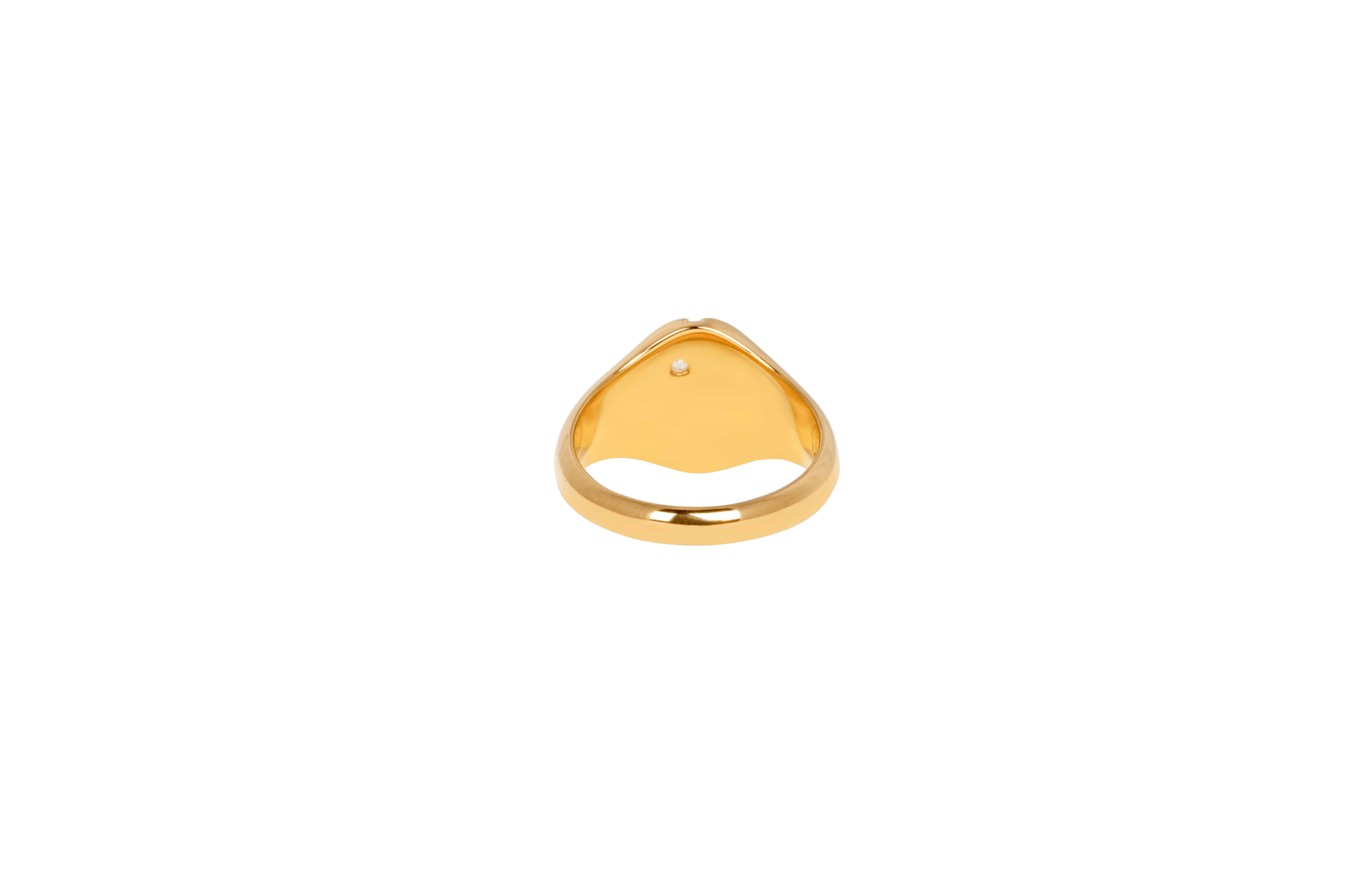 IX Mini Oval Nature Signet Ring