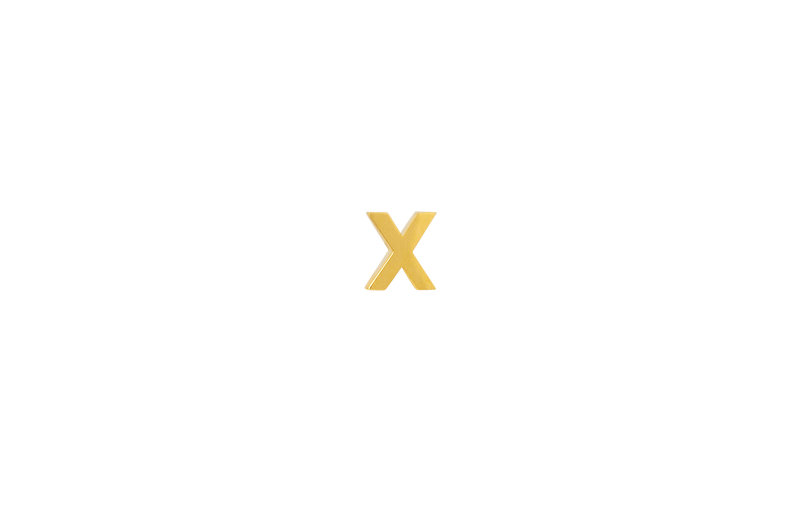 IX X Earring